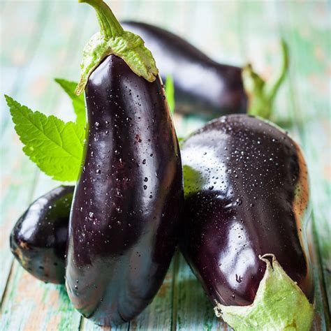 Eggplant Seeds Black Beauty Vegetable Seeds In Packets And Bulk Eden Brothers