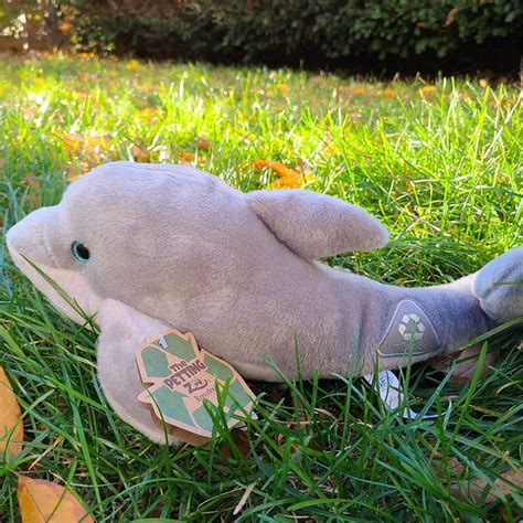 Dolphin Stuffed Animals | Gift for Kids | Whale and Dolphin Conservation