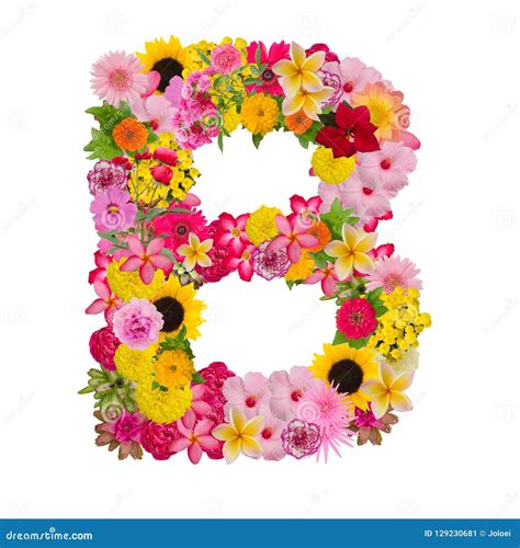 Letter B Alphabet With Flower ABC Concept Type As Logo Isolated Stock