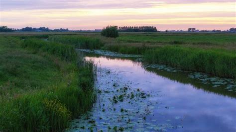 Free Images Grass Swamp Wilderness Meadow Prairie Shore River