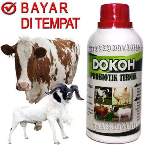 Dokoh Ternak Vitamin Sapi Kambing Nafsu Makan Probiotik Penggemuk