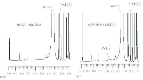 Hydrogen NMR Spectra In Deuterated DMSO Of The Water Soluble