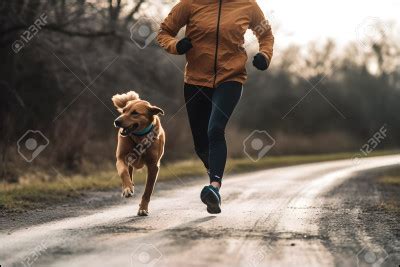 Test de personnalité Quelle race de chien êtes vous