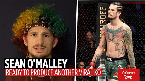 One Of The Sweetest Knockouts In History Sean Omalley Wants A Viral