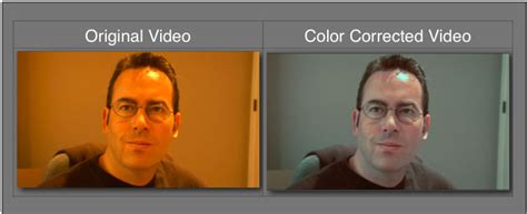 Tutorial Color Correcting Skin Tones Using Fleshscope