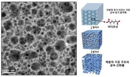 부부가 나노다공성 금속산화물 합성법 공동개발