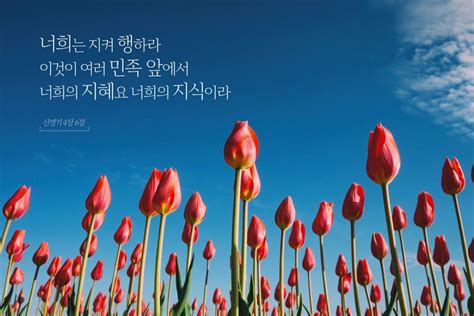 Good News 교과방송 제6과 이처럼 큰 나라가 어디 있느냐 교과토의 자료 안식일학교 And 선교부