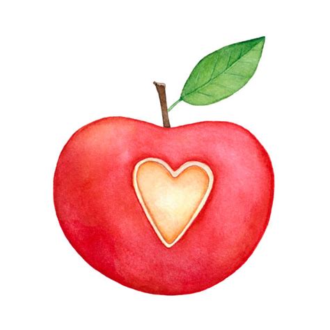 Best Watercolor Apple Illustrations Royalty Free Vector Graphics