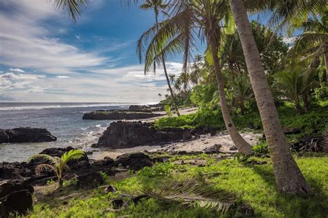 Playa Tropical En El Lado Sur De La Isla De Samoa Con Palmeras De Coco