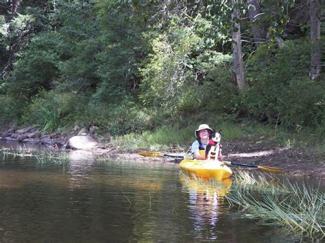 Quiet Kayaking In New York State North Branch Of The Moose River Part Two