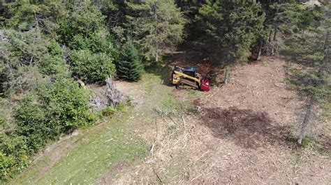 Forestry Mulching Our Property In Hours Ariel View Youtube