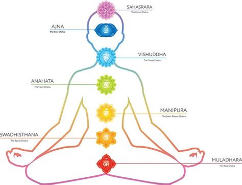 I Chakra Quali Sono Le Caratteristiche Le Schede E Gli Esercizi