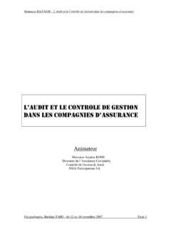 Laudit Et Le Contr Le De Gestion Dans Les Compagnies D L Audit