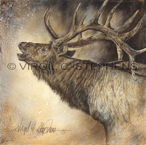 A Whole Lot Of Bull Elk Print By Virgil C Stephens Wildlife Prints