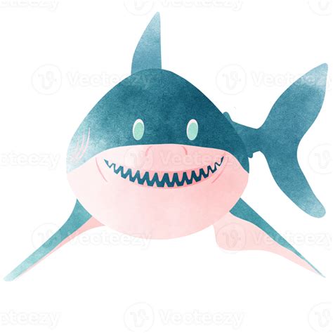 Shark Icon Shark Watercolor 42569136 Png