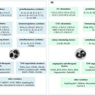 Chemokines and cytokines. Chemokines and cytokines potentially ...