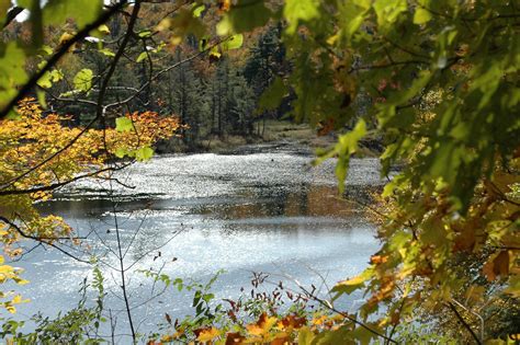 Gatineau Park - Fall 2011, photo by W.Paton