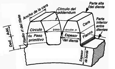 Biolog A Masilla Pero Nomenclatura Engranajes No Puedo Leer Ni Escribir