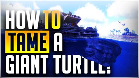 Easiest Way To Tame Giant Turtle Megachelon Everything You Need