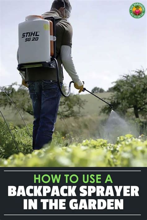 Best Backpack Sprayers For Your Yard and Garden | Vegetable garden for ...