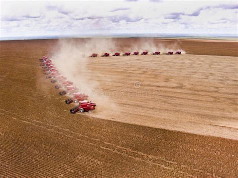 Soy Harvest Editorial Photography Image Of March Farm 40331112