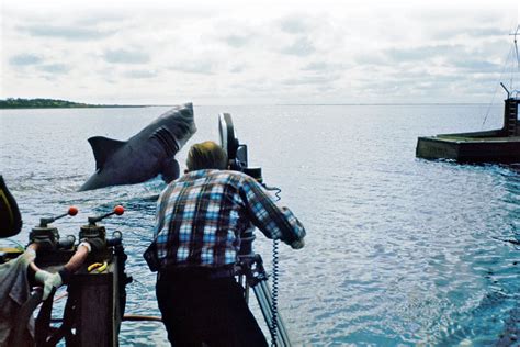 21 Amazing Behind the Scenes Photos From the Making of 'Jaws' (1975 ...