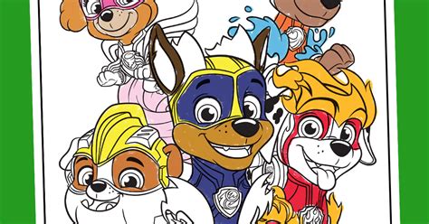 Paw Patrol Mighty Pups Personalized Coloring Books Custom Party Favors ...