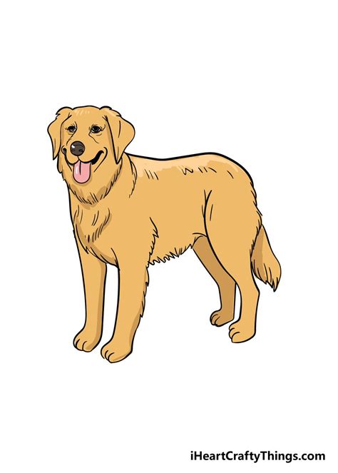 Golden Retriever Drawing Simple In 2024 Golden Retriever Drawing