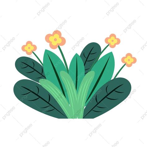 Flowers And Leaves In A Pot On A White Background Free Image