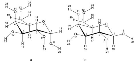 Galactose Structure Diagram