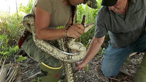 Dark And Dangerous Swamp People Serpent Invasion Series 3 Episode