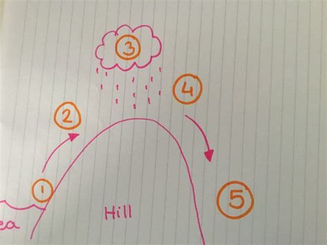 Relief Rainfall Diagram | Quizlet