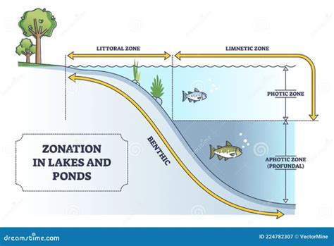 Ch Biomes And Aquatic Ecosys Plus And Worksheets