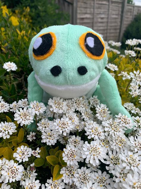 Frog Plush Froggo Plush Froggy Plush | Etsy