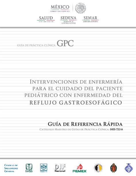 Pdf GuÍa De PrÁctica ClÍnica Gpc Intervenciones De Enfermería Para El Cuidado Del Paciente