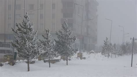 Ardahan Da Termometreler Eksi Dereceyi G Sterdi Dondurucu So Uklar