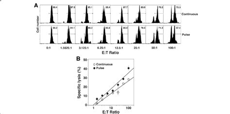 Vγ2vδ2 T Cells Expanded By Pulse Zoledronate Stimulation Exhibit