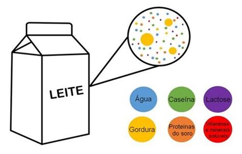 Constituintes do leite muito além do uso em alimentos MilkPoint