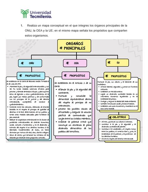 Actividad 3 Realiza Un Mapa Conceptual En El Que Integres Los órganos