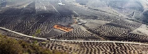 La Geria Lanzarotes Volcanic Vineyards Kuriositas