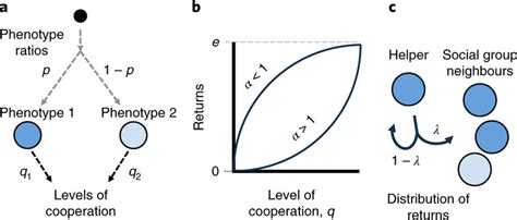 A Division Of Labour Model We Consider A Cooperative Trait That