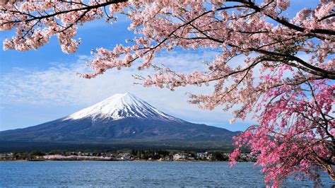 On line přednáška Japonsko mýma očima VOŠ Cestovní Ruch