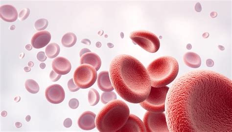 71,275 Blood Cells Background Royalty-Free Images, Stock Photos & Pictures | Shutterstock