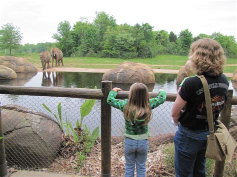 coupons and thin mints: Trip to the Asheboro Zoo!