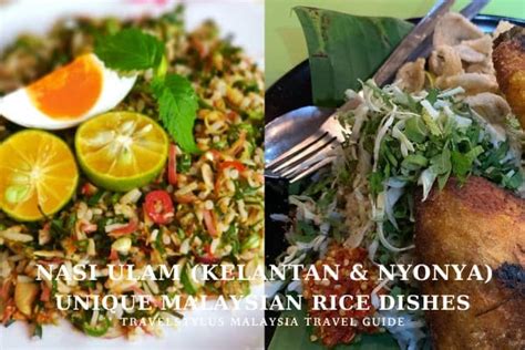 14 Unique Malaysian Rice Dishes To Enjoy in Malaysia - Travel Stylus