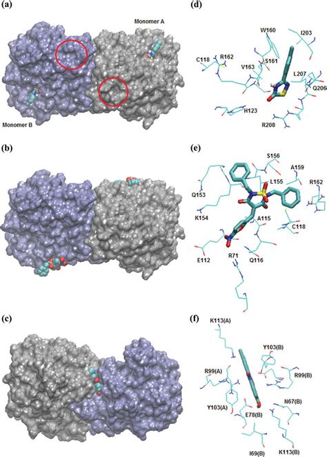 A C Predicted Binding Mode Of Compounds 1 3 According To The Data Download Scientific Diagram