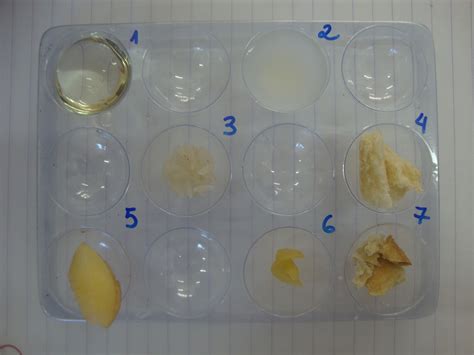 Ciência e Conhecimento Identificando o amido nos alimentos