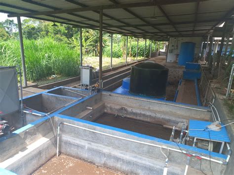 Pemanfaatan Limbah Kotoran Sapi Sebagai Bahan Untuk Biogas Radioqu