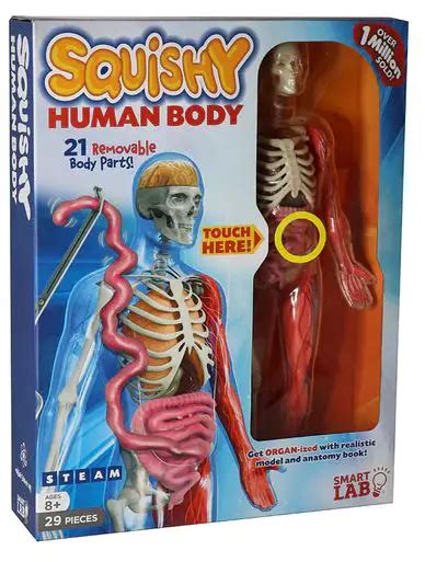 Smart Lab Toys Ultimate Squishy Human Body Lab With