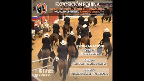 Exposicion Equina Grado B Tenjo Cundinamarca Dia Trocha Y